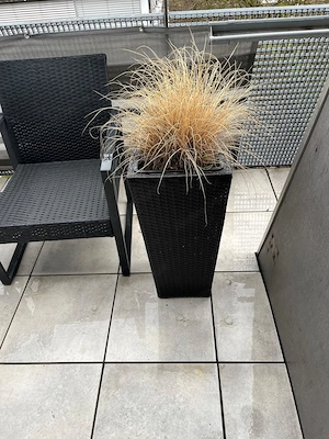 Diverse Pflanzkübel   verschiedene Größen & Designs Bild 5