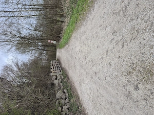 Suche Sie für Sexbeziehung  Bild 2