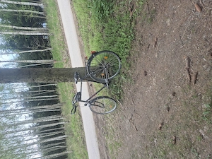 Suche Sie für Sexbeziehung 