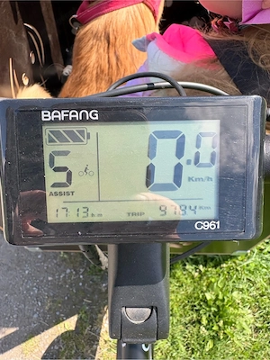 E-Lastenrad Bubble Bob Dog Version Bild 3