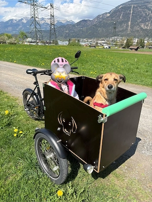 E-Lastenrad Bubble Bob Dog Version Bild 4