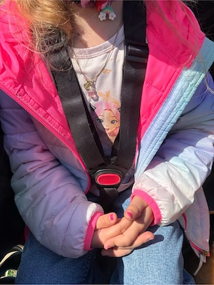 E-Lastenrad Bubble Bob Dog Version Bild 2