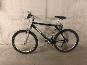 Herren MTB Procyle gebraucht