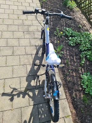 Kinderfahrrad 20 Zoll XXlite Scool Bild 3
