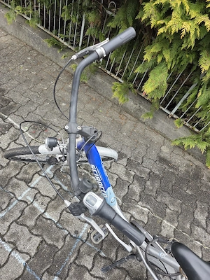 Damen Fahrrad Bild 5