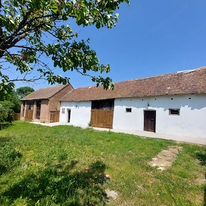 Landhaus in Westungarn renoviert mit grossem Nebengebäude und 1900 m2 Grundstück Bild 3