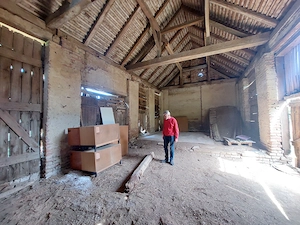 Landhaus in Westungarn renoviert mit grossem Nebengebäude und 1900 m2 Grundstück Bild 7