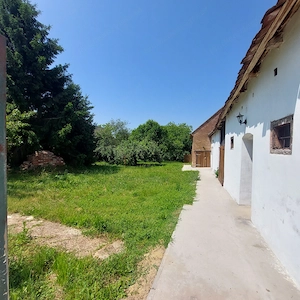 Landhaus in Westungarn renoviert mit grossem Nebengebäude und 1900 m2 Grundstück Bild 9