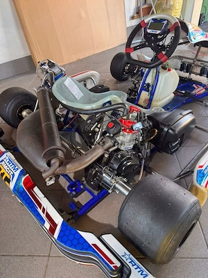 Rennkart rotax dd2 evo Ms-kart phoenix 2024 Bild 6