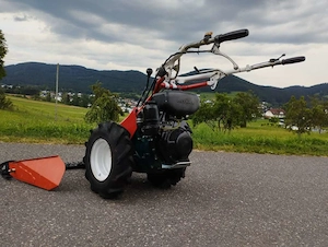 Motormäher Reform 316 D Bild 6