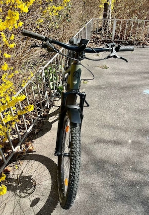 Kalkhoff Entice 7 Advance Gr M Bild 6