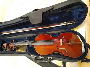 kleine Bratsche Bild 2