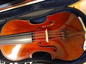 kleine Bratsche Bild 3