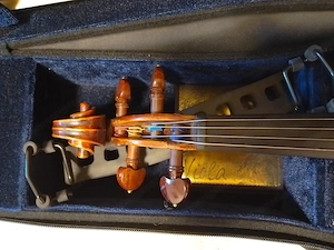 kleine Bratsche Bild 4