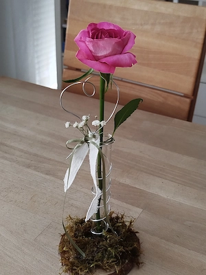 Deko Reagenzglas als Vase auf Holz neu
