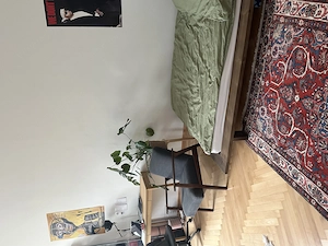 Mitbewohner gesucht in Wien! Bild 3