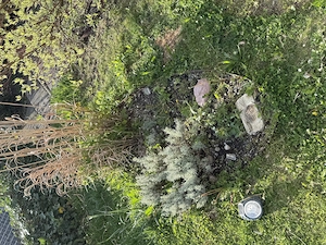 Gartenbereich anlegen