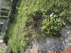 Gartenbereich anlegen Bild 2