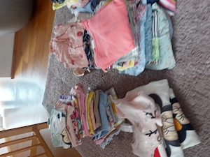 Baby Kleidungspaket Mädchen Größe 74 - wie neu Bild 3