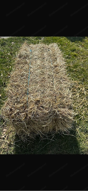 Magerheu Kleinballen