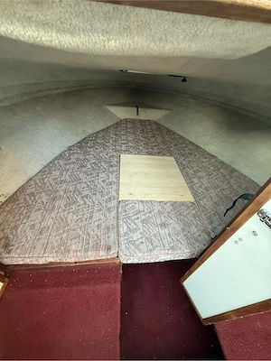 Sea Ray 200 CC Bild 2