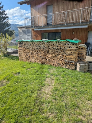 frisches holz