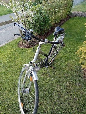 Damen -  Jugend Fahrrad 28 Zoll  Bild 4