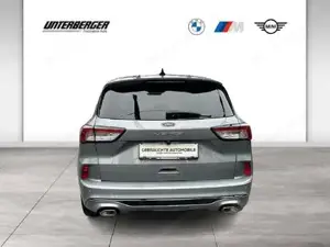 Ford Kuga FHEV // Vignale // Head-Up // DAB // LED // RFK // PDC Bild 5