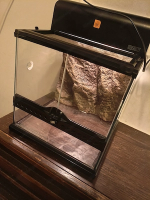 Exo Terra Terrarium Set (30x30x30) Bild 2