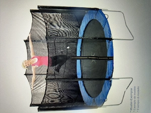 Trampolin mit Sicherheitsnetz Bild 2