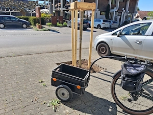 Fahrradzubehör - Anhänger