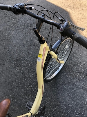 Fahrrad zu verkaufen Bild 3