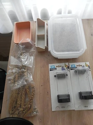 4 Wellensittiche Männchen mit Zubehör Bild 3