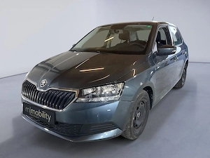 Skoda Fabia 1.0 Sitzheizung | AHK