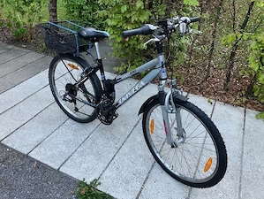 Univega Mountain bike Bild 2
