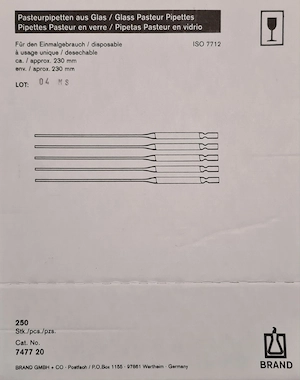 Pasteurpipetten aus Glas zu verschenken, ca. 230 Stück