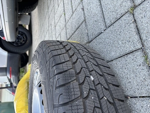 Sommer- und Winterreifen mit Felgen neuwertig Bild 4