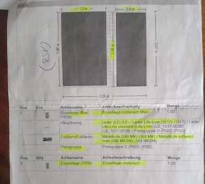 Moderne echt Leder Einzelliegen Bild 3