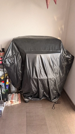    Weber Spirit E-220 Classic Gasgrill mit Seitenbrenner   sehr guter Zustand Bild 5