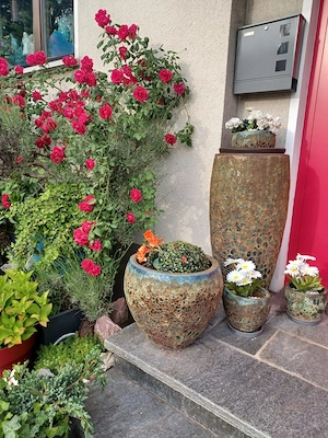 Doppelhaushälfte privat zu verkaufen  Bild 10