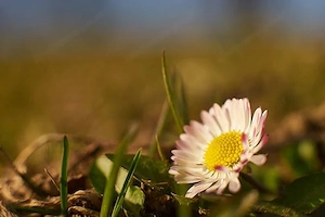 Bekanntschaften   Erotik   Bars, Clubs & Erotikwohnung test 2 Bild 3
