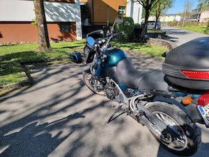 Triumph Tiger 955i British Racing green Bild 3