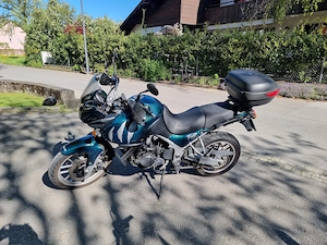 Triumph Tiger 955i British Racing green Bild 2