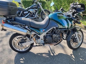 Triumph Tiger 955i British Racing green Bild 5