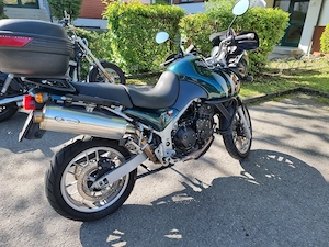 Triumph Tiger 955i British Racing green Bild 6
