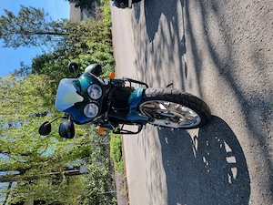 Triumph Tiger 955i British Racing green Bild 8