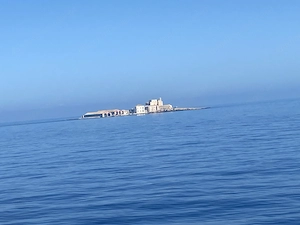 Suche für den 8. Mai eine charmante Begleitung 