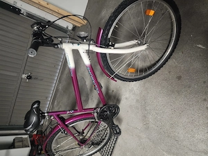 verkaufe Mädchen Fahrrad Bild 3