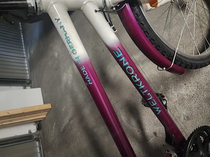 verkaufe Mädchen Fahrrad Bild 2