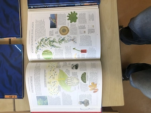 Lexikon, Bildung, Lernen , Schule  Bild 2